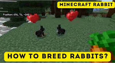 Minecraft Rabbit